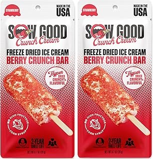 Sow Good Freeze Dried Ice Cream Candy Berry Crunch Ice Cream Bar 2 Pack. Perfect for Snacking, Parties & Astronauts