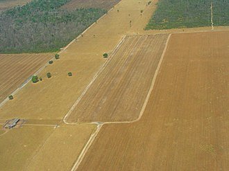 Brazil’s Amazon Soy Moratorium Under Threat as Agribusiness Seeks Repeal