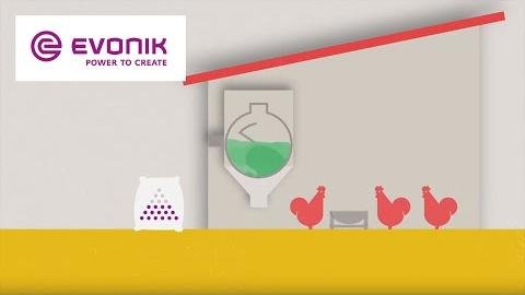 Evonik Advances Soy Product Quality Monitoring for Livestock Nutrition