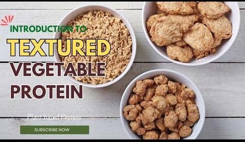Textured Vegetable Protein Market Set for Robust Growth by 2034