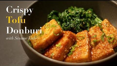 Tofu Gan: The Rising Star in Japan’s Health Food Scene