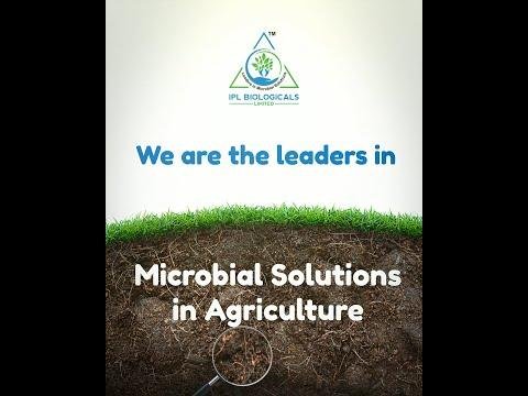 Microbial Biotechnology Enhances Farming Sustainability and Crop Productivity