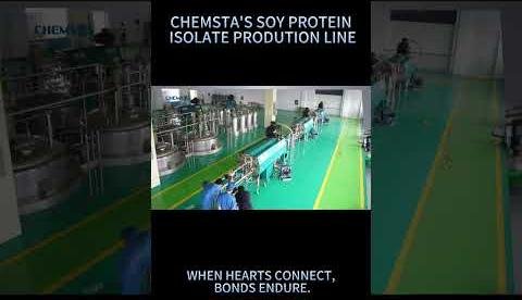 Canada’s Soy Industry Revolutionizes Plant-Based Protein Processing