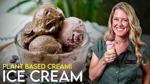 Magnum Introduces Velvety Soy-Based Vegan Ice Cream Recipe
