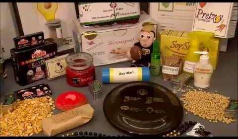 Innovative Corn and Soy Products Revolutionize Diverse Industries