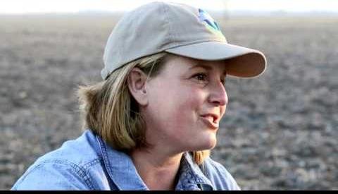 Illinois Soy Innovation Center Pioneers Sustainable Soy Solutions