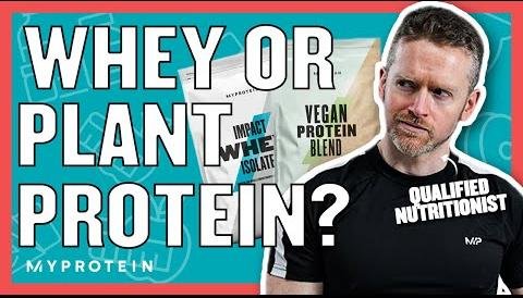 Top Vegan Protein Powders for Taste and Nutrition