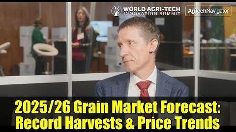 Global Grain Prices Shift Amid Record Production Estimates