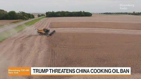 Trump’s Cooking Oil Boycott Impacts U.S. Soybean Industry Dynamics