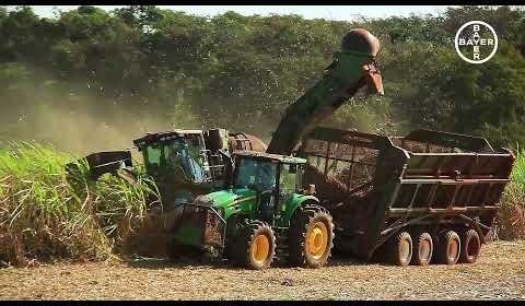 Sustainable Soy Farming in Brazil’s Cerrado Transformed by Technology