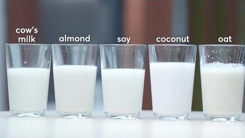 Comparing Health Benefits of Dairy and Plant-Based Milk Options