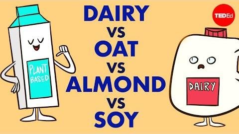 Bonsoy Soy Milk Tops Taste Test for Dairy Alternatives