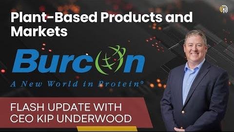 Plant-Based Protein Beverages Market Set for Robust Growth